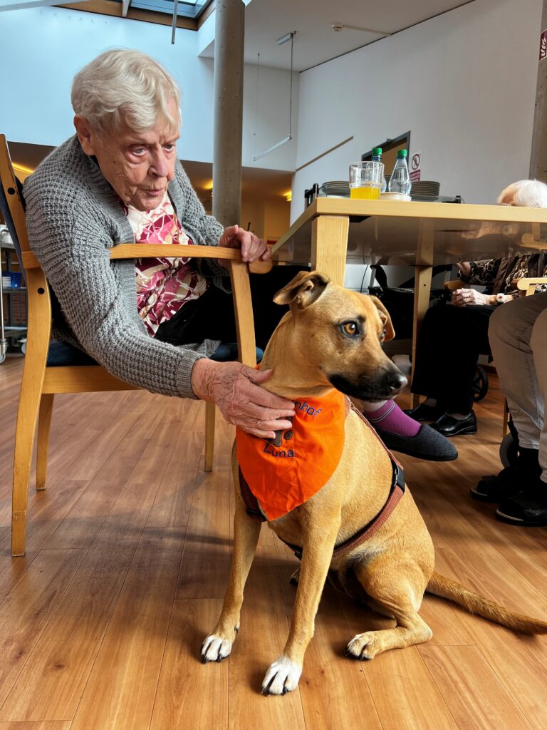 Eine ältere Frau sitzt auf einem Stuhl und streichelt sanft einen braunen Hund, der ein orangefarbenes Halstuch trägt. Im Hintergrund sind Tische, Stühle und andere Menschen zu sehen.