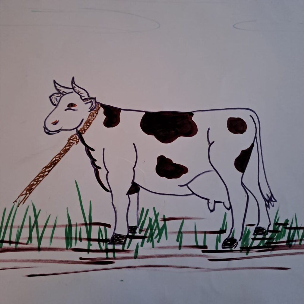 Ein handgezeichnetes Bild einer schwarzen und weißen Kuh mit einem Seil um den Hals, die auf Gras mit Schmutzflecken steht. Die Kuh hat sichtbare Flecken, Hörner und ein Euter. Der Hintergrund ist einfarbig mit ein paar hellen Linien.