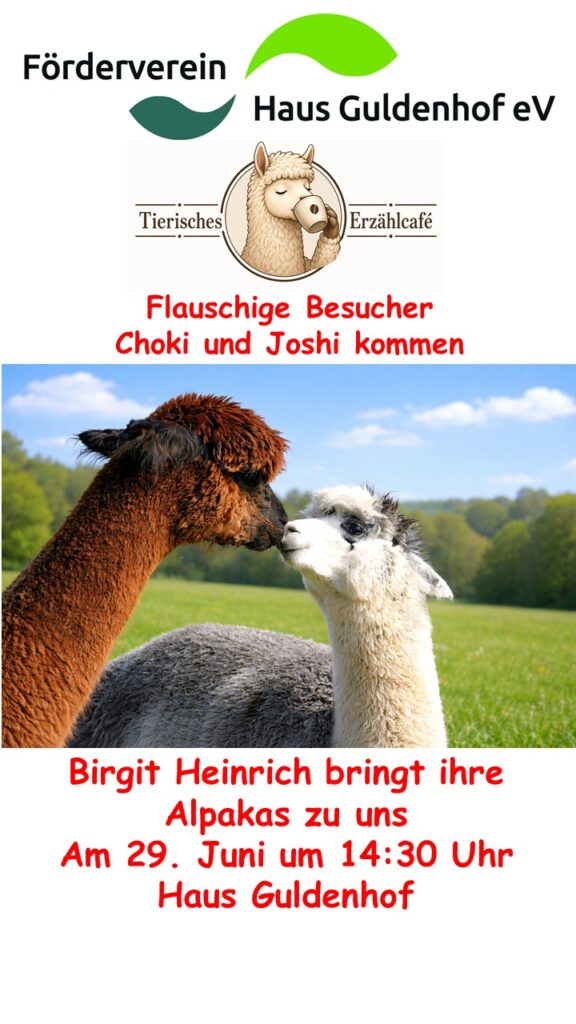 Plakat mit zwei Alpakas, die sich auf einer grünen Wiese an den Nasen berühren, als Werbung für eine Veranstaltung im Haus Guldenhof, zu der Birgit Heinrich ihre Alpakas Choki und Joshi am 29. Juni um 14:30 Uhr mitbringt. Logos und Text sind ebenfalls abgebildet.